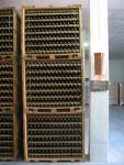 Cellar Puente Ajuda 05