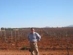 huge vineyard of Payva