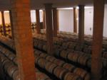 cellar 03