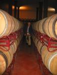 cellar 05