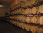 cellar 06
