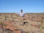 vineyards 11