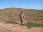vineyards 12