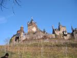 Vineyards by Reichsburg