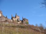 Vineyards by Reichsburg