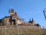 Vineyards by Reichsburg