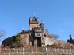 Vineyards by Reichsburg
