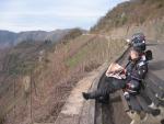 A nice spot for reading
