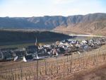 Vineyards near Neef