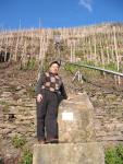 Vineyard of the wines we import