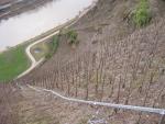 Vineyards in hilltop of Bremm