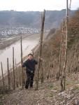 Wajos steepest vineyards