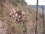 Landslide