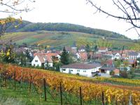 Birkweiler neighbourhood of hainfeld