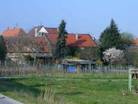 Rhodt Altstadt im Fruhling 3.4.05