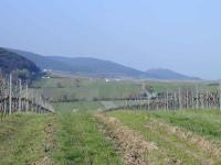Rhodt R. St. Martin und Hambacher Schloss