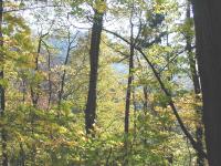autumn impressions