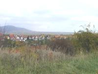 golden land