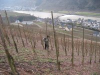 Our Wines