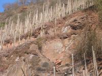 202 Slates below the soil