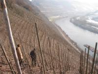 204 The steepness of 65_B