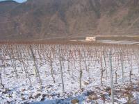 208 heat kept by soil