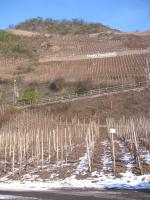 210 Neefer Frauenberg in winter