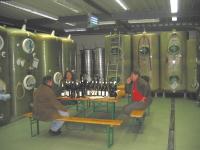 310 Well-managed cellars